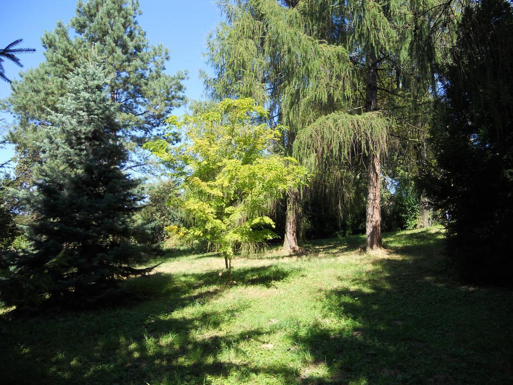 Dwor W Boleniu Villa Szoba fotó